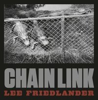 bokomslag Lee Friedlander: Chain Link