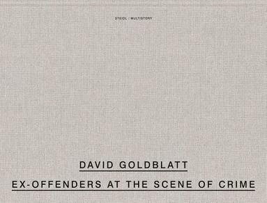 bokomslag David Goldblatt: Ex Offenders at the Scene of Crime