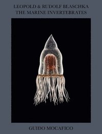 bokomslag Guido Mocafico: Leopold & Rudolf Blaschka. The Marine Invertebrates