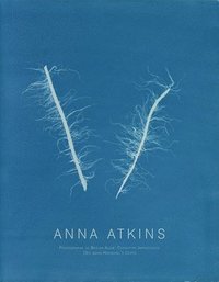 bokomslag Anna Atkins: Photographs of British Algæ
