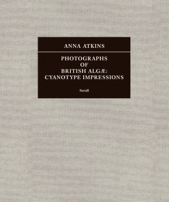 Joshua Chuang, Larry J. Schaaf, Anna Atkins - Anna Atkins: Photographs of British Algæ, Häftad