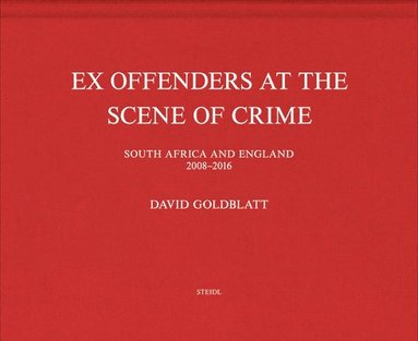 bokomslag David Goldblatt: Ex Offenders