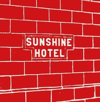 bokomslag Mitch Epstein: Sunshine Hotel