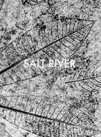 bokomslag Sebastian Posingis: Salt River
