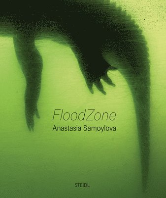 bokomslag Anastasia Samoylova: FloodZone