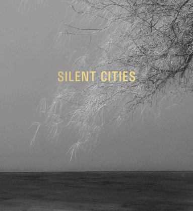 Mark Hennek, Gerhard Steidl - Mat Hennek: Silent Cities, Inbunden