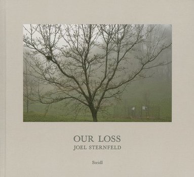 bokomslag Joel Sternfeld: Our Loss