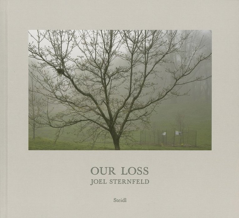 Joel Sternfeld: Our Loss 1