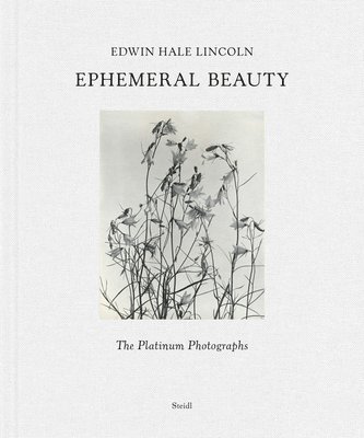 bokomslag Edwin Hale Lincoln: Ephemeral Beauty