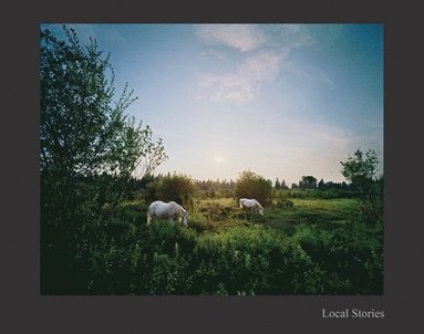 bokomslag Jerry Spagnoli: Local Stories