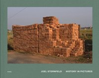 bokomslag Joel Sternfeld: History in Pictures