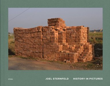 bokomslag Joel Sternfeld: History in Pictures