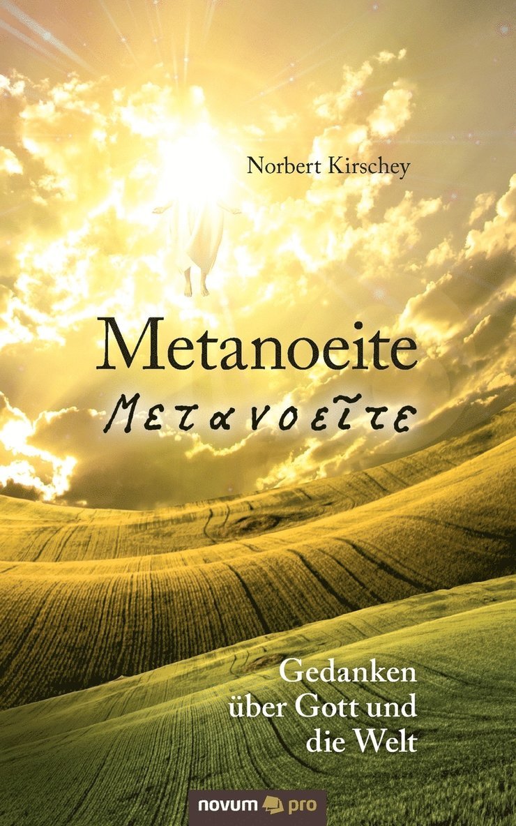 Metanoeite 1