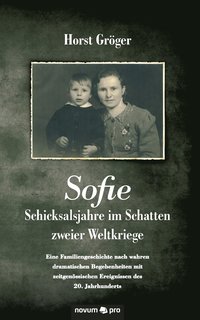 bokomslag Sofie - Schicksalsjahre im Schatten zweier Weltkriege