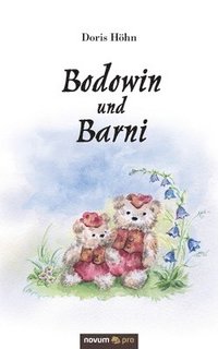 bokomslag Bodowin und Barni