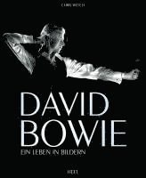 bokomslag David Bowie