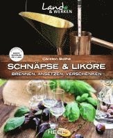 bokomslag Schnäpse und Liköre