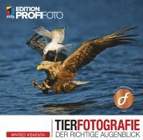 bokomslag Tierfotografie