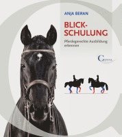 bokomslag Blickschulung
