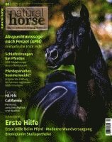 bokomslag Natural Horse 57
