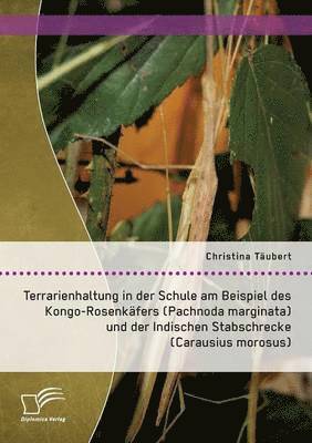 bokomslag Terrarienhaltung in der Schule am Beispiel des Kongo-Rosenkäfers (Pachnoda marginata) und der Indischen Stabschrecke (Carausius morosus)