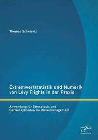 bokomslag Extremwertstatistik und Numerik von Lvy Flights in der Praxis