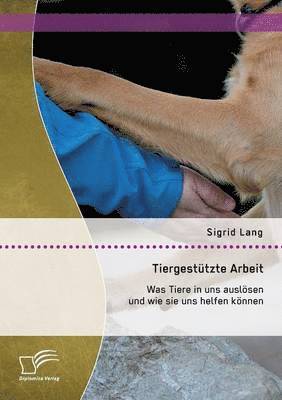 bokomslag Tiergesttzte Arbeit