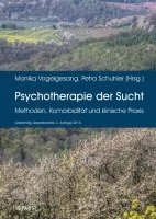 bokomslag Psychotherapie der Sucht