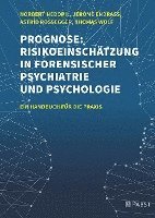 bokomslag Prognose: Risikoeinschatzung in Forensischer Psychiatrie Und Psychologie: Ein Handbuch Fur Die Praxis