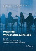 Patrick Mehlich, Torsten Brandenburg, Meinald T. Thielsch - Praxis der Wirtschaftspsychologie, Häftad