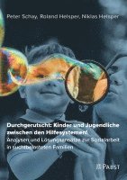 bokomslag Durchgerutscht: Kinder und Jugendliche zwischen den Hilfesystemen!