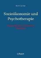 bokomslag Soziookonomie Und Psychotherapie: Austauschanalysen, Evaluationen, Perspektiven