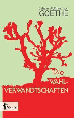 Johann Wolfgang Goethe - Wahlverwandtschaften, Häftad