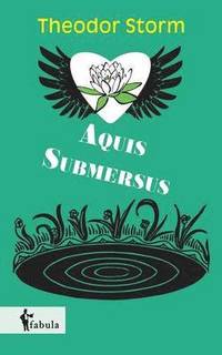 bokomslag Aquis Submersus