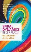 bokomslag Spiral Dynamics in der Praxis