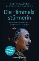 bokomslag Die Himmelsstürmerin