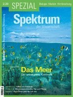 bokomslag Spektrum Spezial - Das Meer