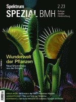 bokomslag Spektrum Spezial BMH - Wunderwelt der Pflanzen