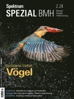 Spektrum Spezial BMH 2/2024 - Vögel 1