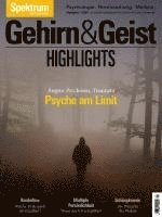 bokomslag Gehirn&Geist Dossier - Psyche am Limit