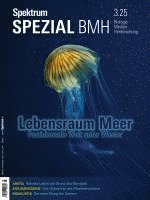 bokomslag Spektrum Spezial BMH 3/2025 - Lebensraum Meer