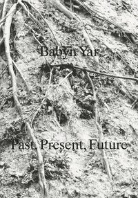 bokomslag Babyn Yar: Past, Present, Future