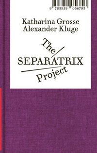 bokomslag Alexander Kluge and Katharina Grosse: The Separatrix Project