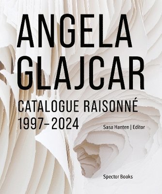 Sasa Hanten-Schmidt, Elisabeth Von Samsonow, Margareta Sandhofer, Sasa Hanten, Sasa Hanten-Schmidt - Angela Glajcar: Catalogue Raisonné, Inbunden