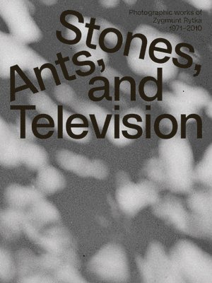 Zygmunt Rytka, Anna Maria Le¿niewska, David Crowley, Daniel Muzyczuk, Karol Hordziej - Zygmunt Rytka: Stones, Ants, and Television, Häftad