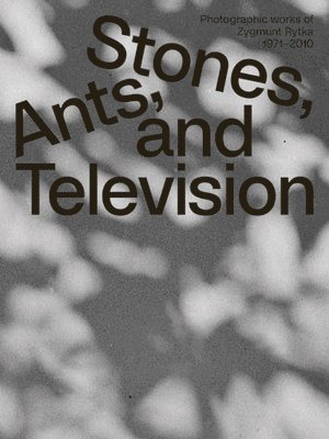 bokomslag Zygmunt Rytka: Stones, Ants, and Television