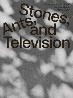 Zygmunt Rytka: Stones, Ants, and Television 1