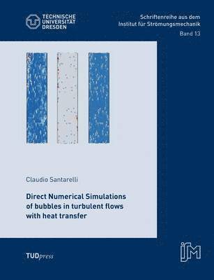 bokomslag Direct Numerical Simulations of bubbles in turbulent flows with heat transfer