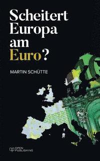 bokomslag Scheitert Europa am Euro?