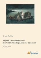 bokomslag Psyche - Seelenkult und Unsterblichkeitsglaube der Griechen